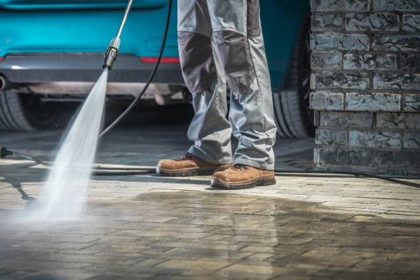Best Spring Cleaning  in Hollymead, VA