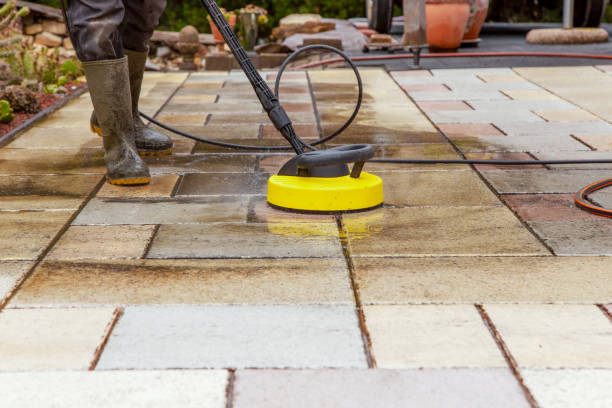 Best Pre-Holiday Cleaning  in Hollymead, VA